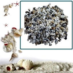 Kategori resimi Deniz Kabukları ''30-50 gr''