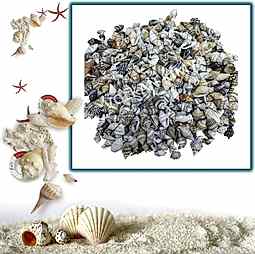 Kategori resimi Deniz Kabukları ''30-50 gr''