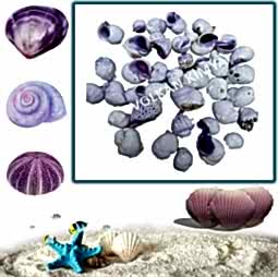 Kategori resimi Mum Süsleme Malzemeleri