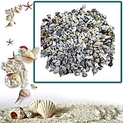 Kategori resimi Deniz Kabukları ''30-50 gr''