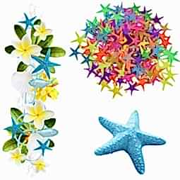 Kategori resimi Deniz Yıldızları