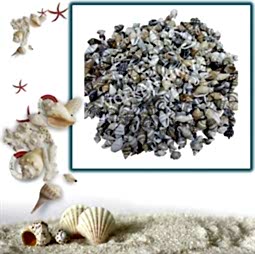 Kategori resimi Deniz Kabukları ''30-50 gr''