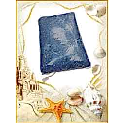 Kategori resimi Deniz Kabuk Kumları "100 gr