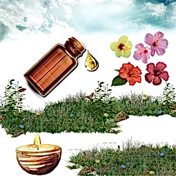 Kategori resimi Balmumu Koku Esansları 30 cc