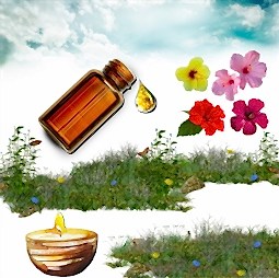 Kategori resimi BalMumu Esansları 250 ml “5 Adet 50 cc”