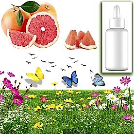 Resim Greyfurt Sabun Koku Esansı 10 cc