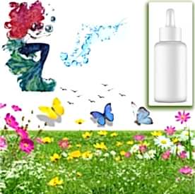 Resim Deniz Köpüğü Sabun Koku Esansı 10 cc