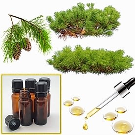 Resim Çam Kokusu Mum Koku Esansı 50 cc