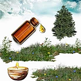 Resim Sedir Ağacı Mum Koku Esansı 50 cc