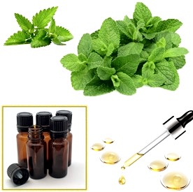 Resim Nane Mum Koku Esansı 250 cc “5 Adet 50 cc”