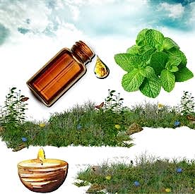 Resim Nane Mum Koku Esansı 50 cc