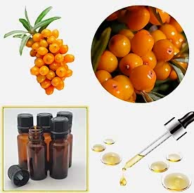 Resim İğde Mum Koku Esansı 250 cc “5 Adet 50 cc”