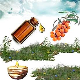 Resim İğde Mum Koku Esansı 50 cc