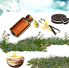 Resim Kurabiye Kokulu Vanilya Mum Koku Esansı 50 cc