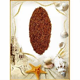 Resim  Deniz Kabuk Kumu Turuncu “100 gr” 