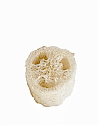 Kategori resimi Kabak Lifi