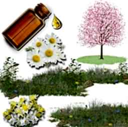 Kategori resimi Mum Koku Esansları 30cc