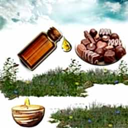 Kategori resimi Mum Koku Esansları 50 cc