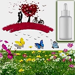 Kategori resimi Sabun Esansları