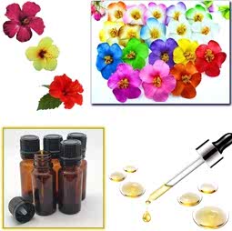 Kategori resimi Mum Esansları