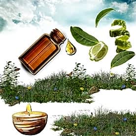 Resim Bergamot Mum Koku Esansı 50 cc