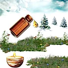 Resim Egzotik Çiçek Mum Koku Esansı 50 cc