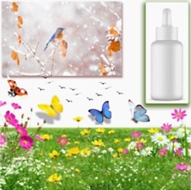 Resim Egzotik Çiçek Mum Koku Esansı 30 cc