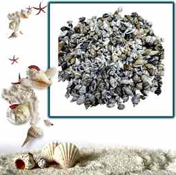 Kategori resimi Deniz Kabukları 30gr