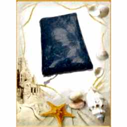 Kategori resimi Deniz Kabuk Kumları 100gr