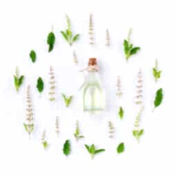 Kategori resimi Mum Koku Esansları 1 Kg